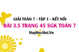 Giải bài 3.5 trang 45 Toán 7 Tập 1 SGK Kết nối tri thức